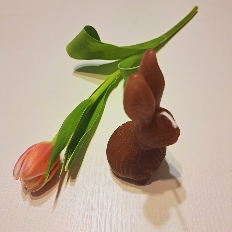 Králičí svíčka