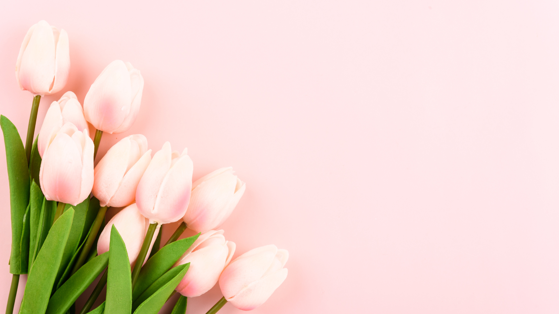 Nőnapi kedvességek 🌷