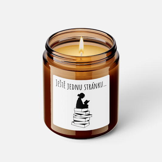 Svíčka pro knihomoly (04)